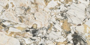 FLORIM-Luxury Etoile De Rex Magnum Керамогранит Symphonie 60x120 полированный