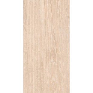 Плитка керамическая ARCHI 25*50 арт. 00-00-5-10-01-11-1095