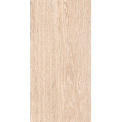 Плитка керамическая ARCHI 25*50 арт. 00-00-5-10-01-11-1095