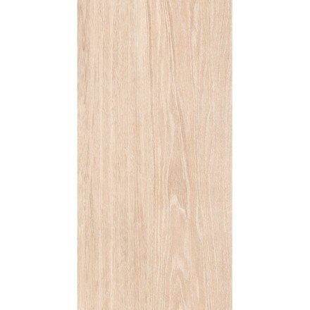 Плитка керамическая ARCHI 25*50 арт. 00-00-5-10-01-11-1095