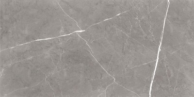 GT120603001MCR Плитка грес глаз. Encanto_GT Серый 60*120 карвинг