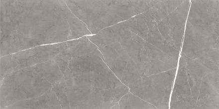 GT120603001MCR Плитка грес глаз. Encanto_GT Серый 60*120 карвинг