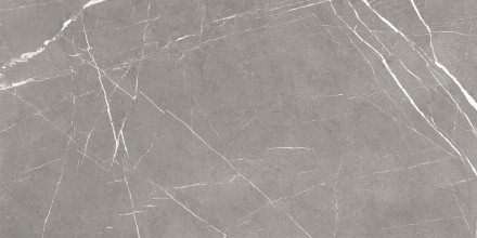 GT120603001MCR Плитка грес глаз. Encanto_GT Серый 60*120 карвинг