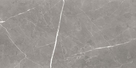 GT120603001MCR Плитка грес глаз. Encanto_GT Серый 60*120 карвинг