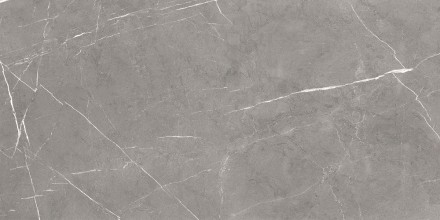 GT120603001MCR Плитка грес глаз. Encanto_GT Серый 60*120 карвинг