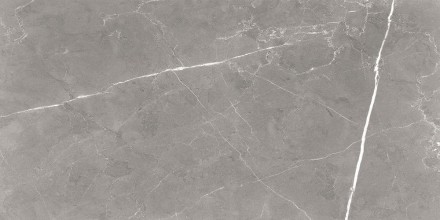 GT120603001MCR Плитка грес глаз. Encanto_GT Серый 60*120 карвинг