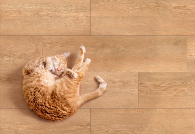  Коллекция плитки GLOBAL TILE KRONBORG