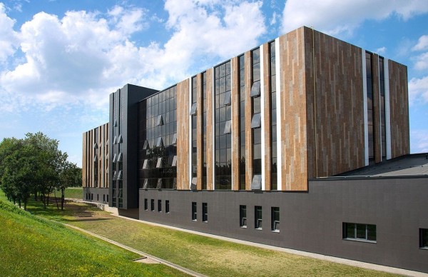 Коллекция плиты IDALGO WOOD EGO