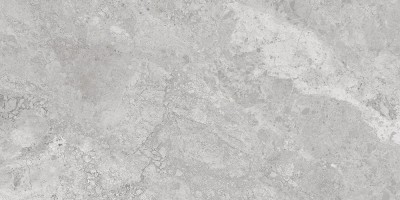 60x120 MarbleS Тундра Серый Лаппато R9