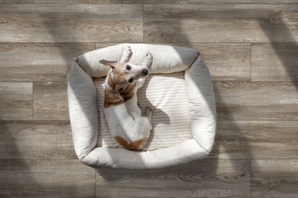  Коллекция плитки GLOBAL TILE BREMEN