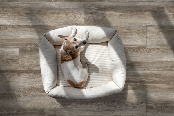  Коллекция плитки GLOBAL TILE BREMEN