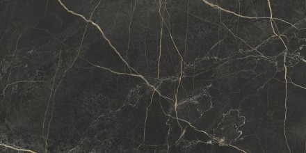 60x120 MarbleS Порт Лорен Лаппато R9