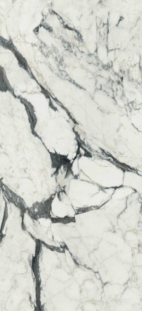 Керамогранит REX LES BIJOUX DE REX Calacatta Altissimo Blanc Gloss 60*120