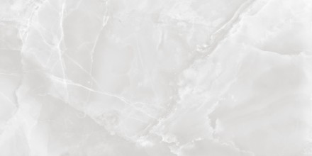 GT1206010703PR Керамогранит Favorito_GT Бел. 60x120 полир.