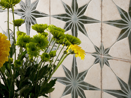 Гранит керамический 40467 FS STARLIGHT Sage LT 22,3x22,3x0,9 см