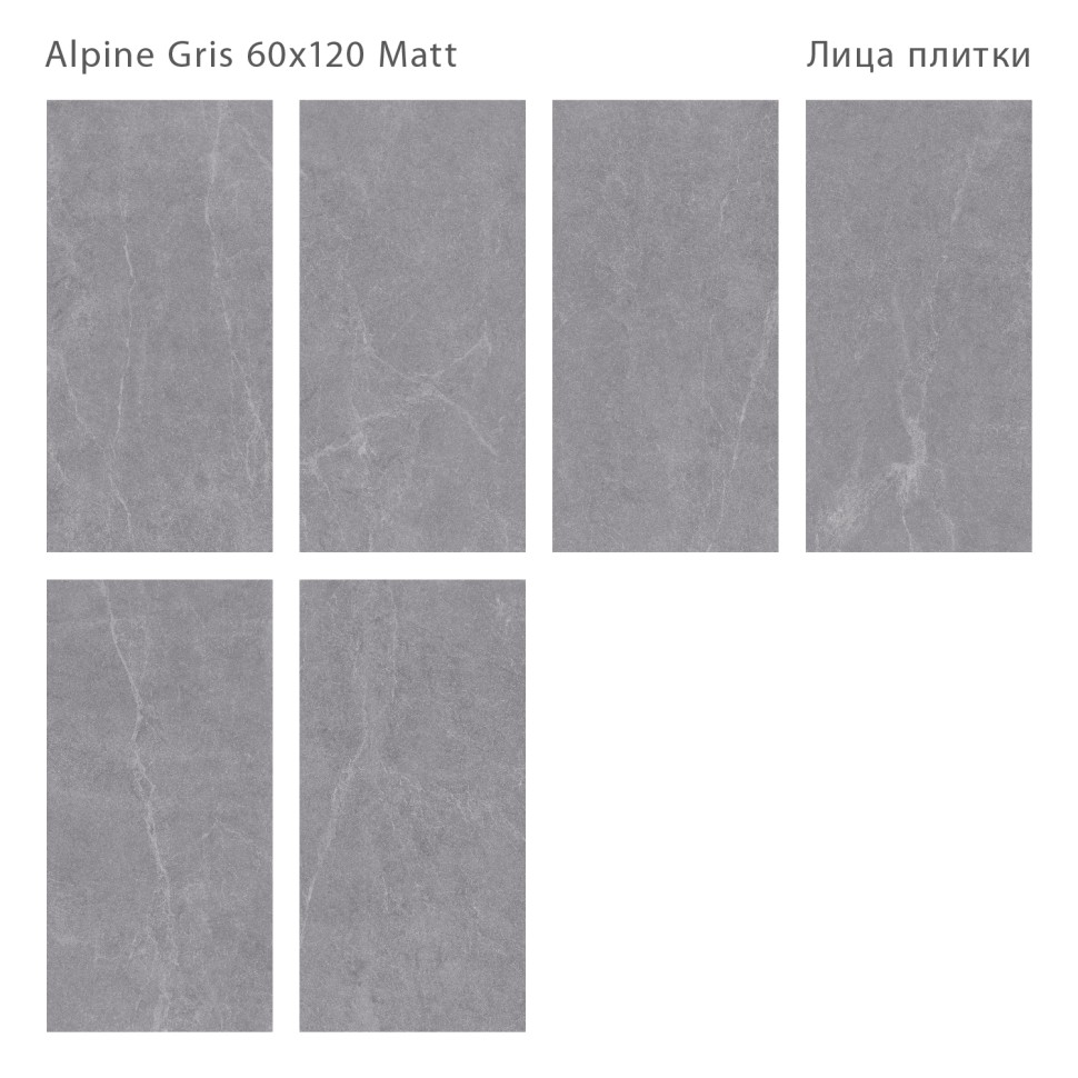 Керамогранит Silk ALPINE GRIS 60x120 MATT  
