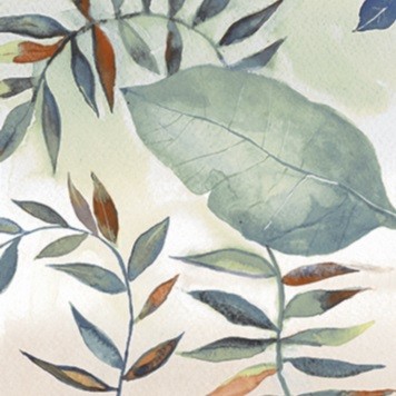 Настенная плитка Michiq 25x25