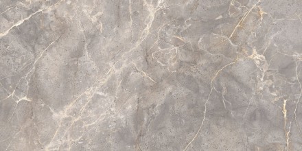 GT120603101MCR Плитка грес глаз. Sacramento_GT Серый 60*120 карвинг