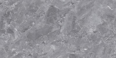 GT1206015701PSiR Керамогранит Silver_GT Серый 60x120