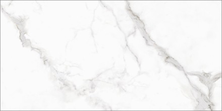 GT120607803PR Керамогранит Monza_GT Бел. 60x120 полир.