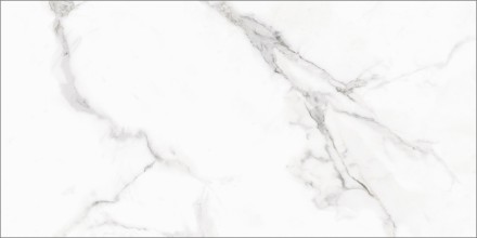 GT120607803PR Керамогранит Monza_GT Бел. 60x120 полир.