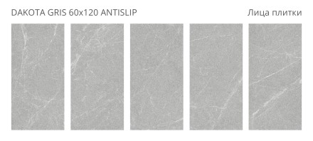 Керамогранит DAKOTA GRIS 60x120 ANTISLIP
