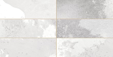 Плитка керамическая настенная FS TRADITION BRICK SILVER LT 20*40