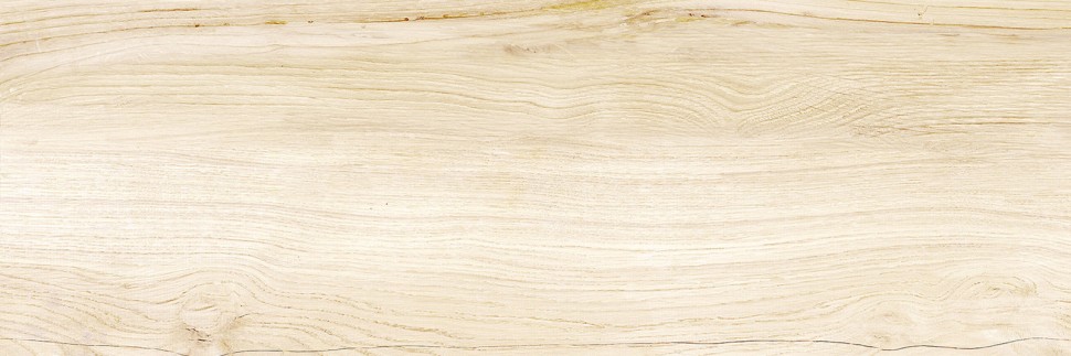 Плитка настенная DELACORA Canyon Wood 246x740 WT15CAC08R