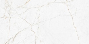 GT226VG Керамогранит Antares_GT Бел. 30x60