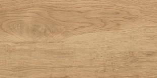 GT220VG Керамогранит Florida_GT Беж. 30x60