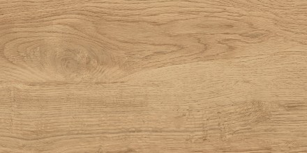 GT220VG Керамогранит Florida_GT Беж. 30x60