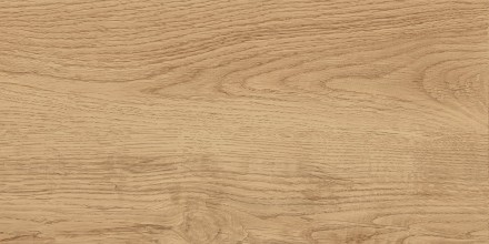 GT220VG Керамогранит Florida_GT Беж. 30x60