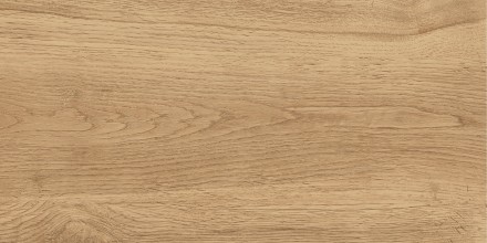 GT220VG Керамогранит Florida_GT Беж. 30x60