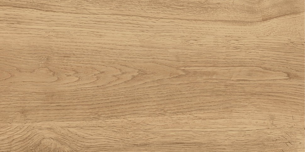 GT220VG Керамогранит Florida_GT Беж. 30x60