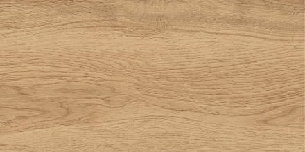 GT220VG Керамогранит Florida_GT Беж. 30x60