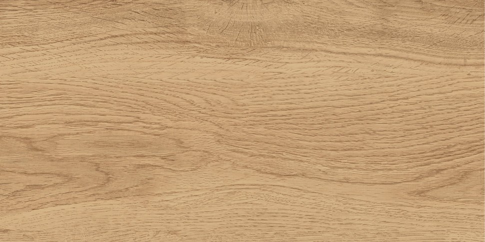 GT220VG Керамогранит Florida_GT Беж. 30x60