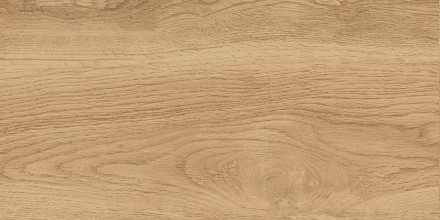 GT220VG Керамогранит Florida_GT Беж. 30x60