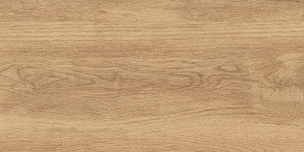 GT220VG Керамогранит Florida_GT Беж. 30x60