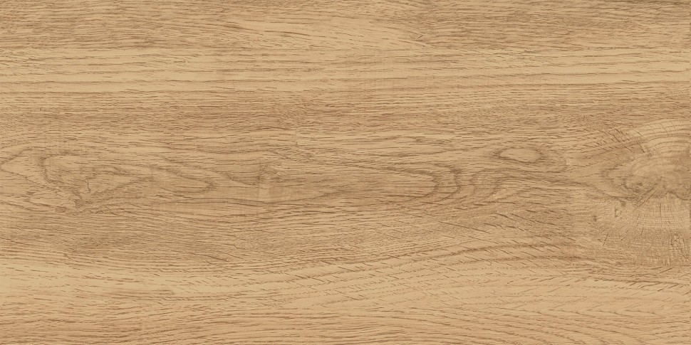 GT220VG Керамогранит Florida_GT Беж. 30x60