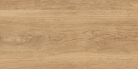 GT220VG Керамогранит Florida_GT Беж. 30x60