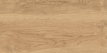 GT220VG Керамогранит Florida_GT Беж. 30x60