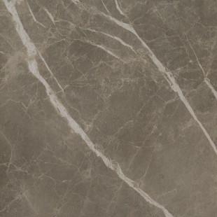 Керамогранит S.S. Grey 60x60 Wax Матовая