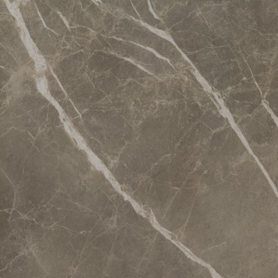 Керамогранит S.S. Grey 60x60 Wax Матовая