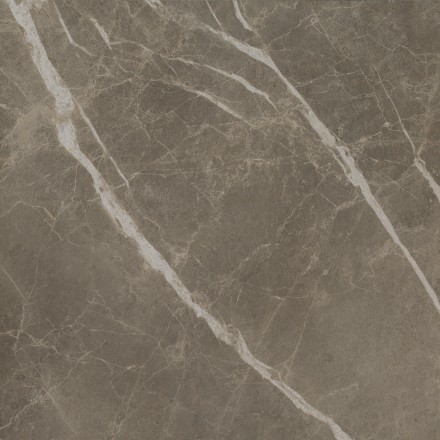 Керамогранит S.S. Grey 60x60 Wax Матовая