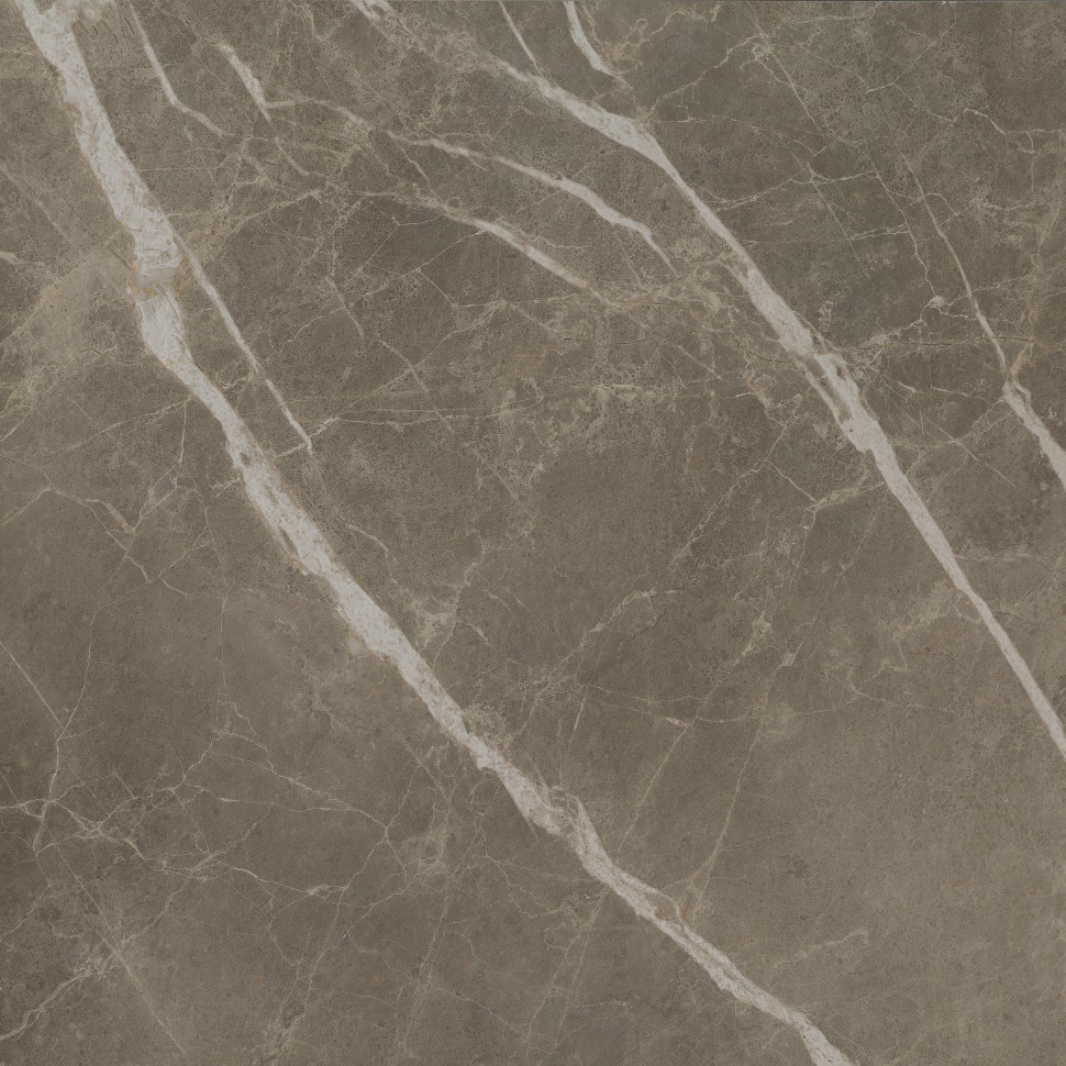 Керамогранит S.S. Grey 60x60 Wax Матовая