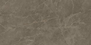 Керамогранит S.S. Grey 60x120 Wax Матовая