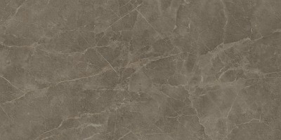 Керамогранит S.S. Grey 60x120 Wax Матовая