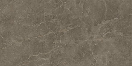Керамогранит S.S. Grey 60x120 Wax Матовая