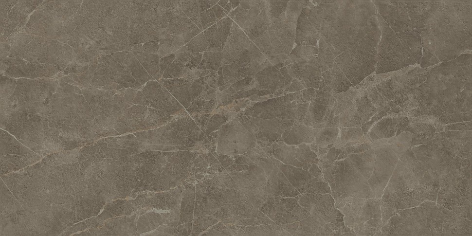 Керамогранит S.S. Grey 60x120 Wax Матовая
