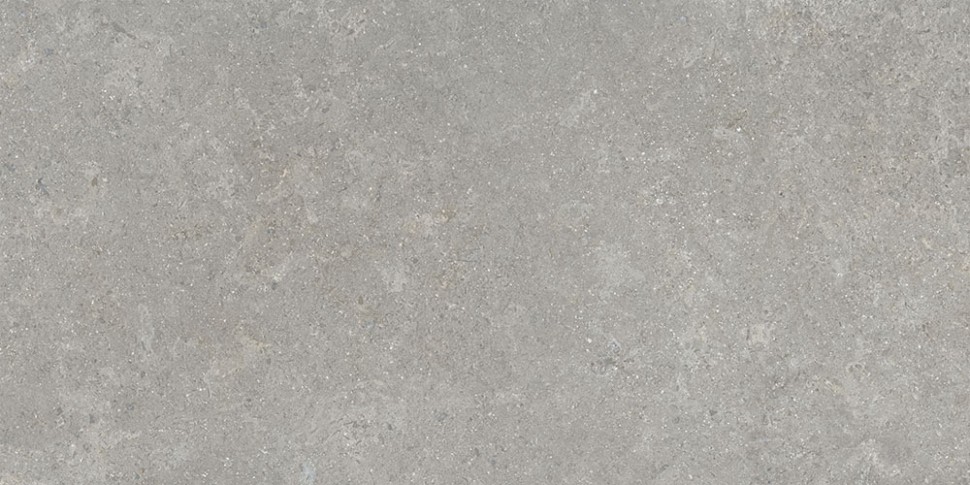 60х120 SandStone Серый Матовый R10A Ректификат